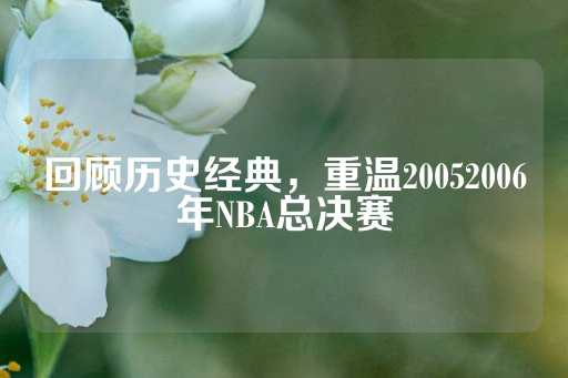 回顾历史经典，重温20052006年NBA总决赛-第1张图片-皇冠信用盘出租