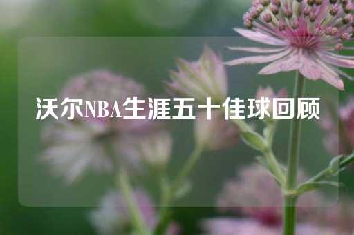 沃尔NBA生涯五十佳球回顾