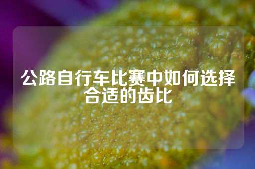 公路自行车比赛中如何选择合适的齿比-第1张图片-皇冠信用盘出租