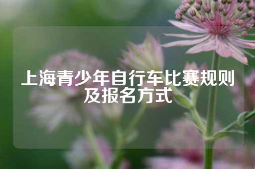 上海青少年自行车比赛规则及报名方式-第1张图片-皇冠信用盘出租