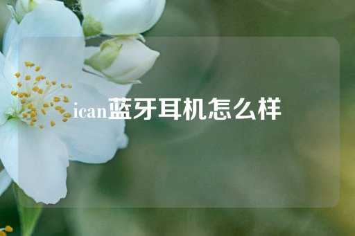 ican蓝牙耳机怎么样-第1张图片-皇冠信用盘出租