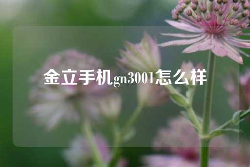 金立手机gn3001怎么样-第1张图片-皇冠信用盘出租